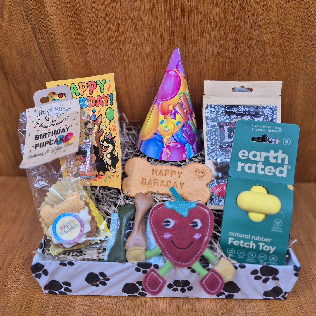 Eco-conscious Bow Wow Birthday Box containing toys and wholesome treats for extra small and senior extra small dogs.