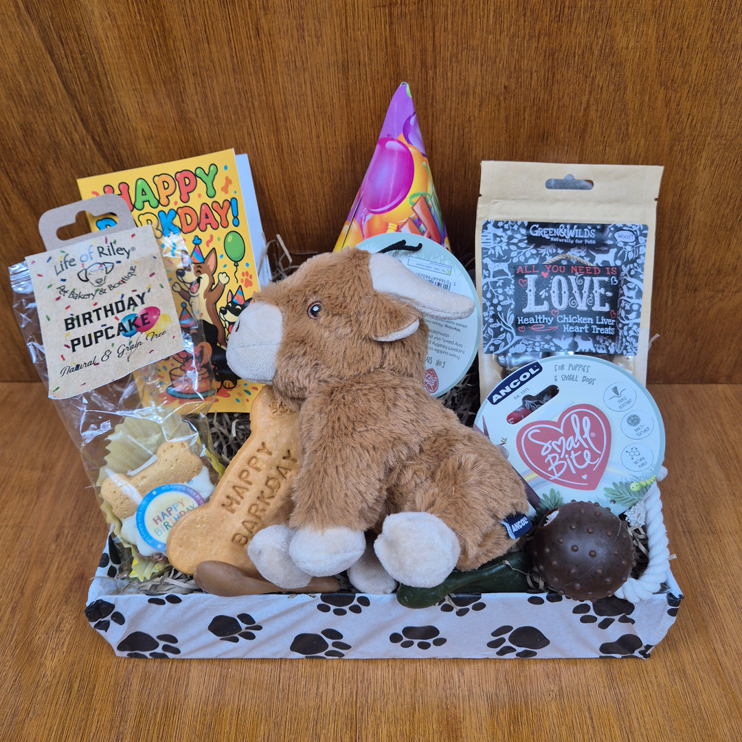 Curated Bow Wow Birthday Box with a mix of eco-friendly toys and treats, perfect for extra small and senior dogs.