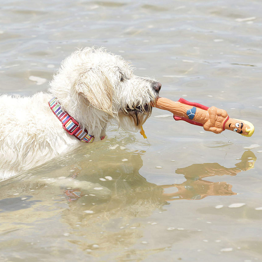 White dog playing with a toy in water