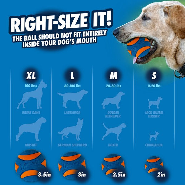 Dog ball size guide with dog illustrations and text on a blue background