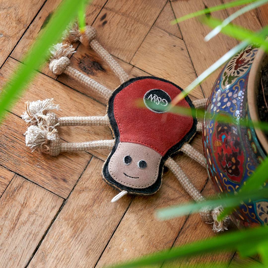 Spike the Spider eco dog toy shown on a wooden floor with rope legs extended.