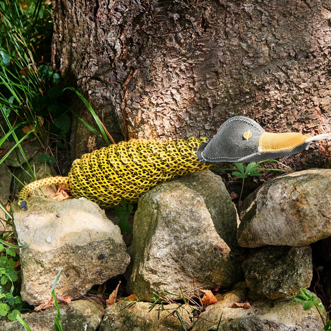 Delilah the Duckess – Green and Wilds – Eco Dog Toy – Medium Sized and Large Sized Dogs- Show outs, lovely image, toy is lay down on rocks