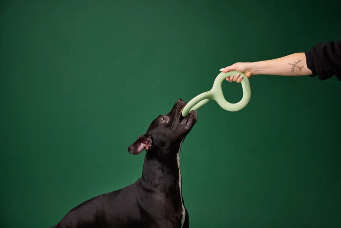 Earth Rated Tug Toy - Large - Eco Friendly Dog Toy