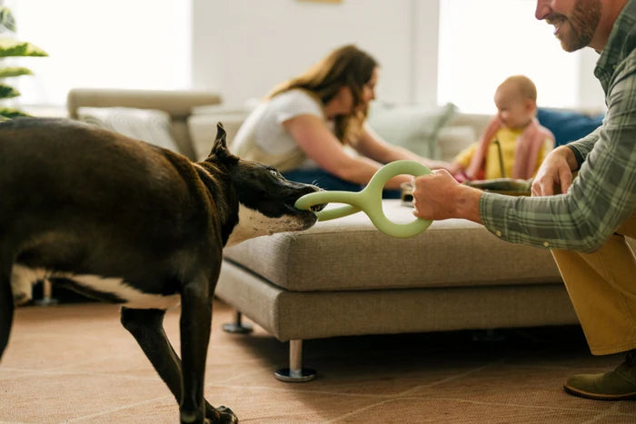 Earth Rated Tug Toy - Large - Eco Friendly Dog Toy