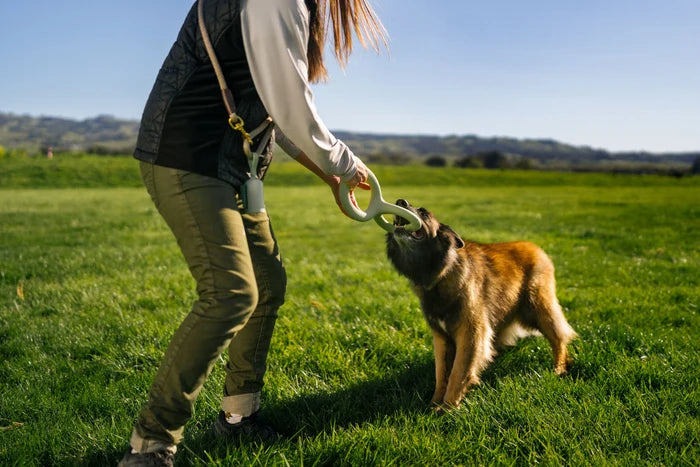 Earth Rated Tug Toy - Large - Eco Friendly Dog Toy