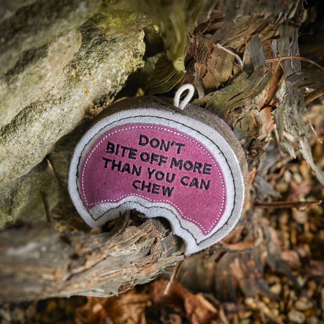 Eco friendly Don’t Bite Off More Than You Can Chew dog toy by Green and Wild’s suitable for medium and large sized dogs photographed outdoors supplied by Paw Branch