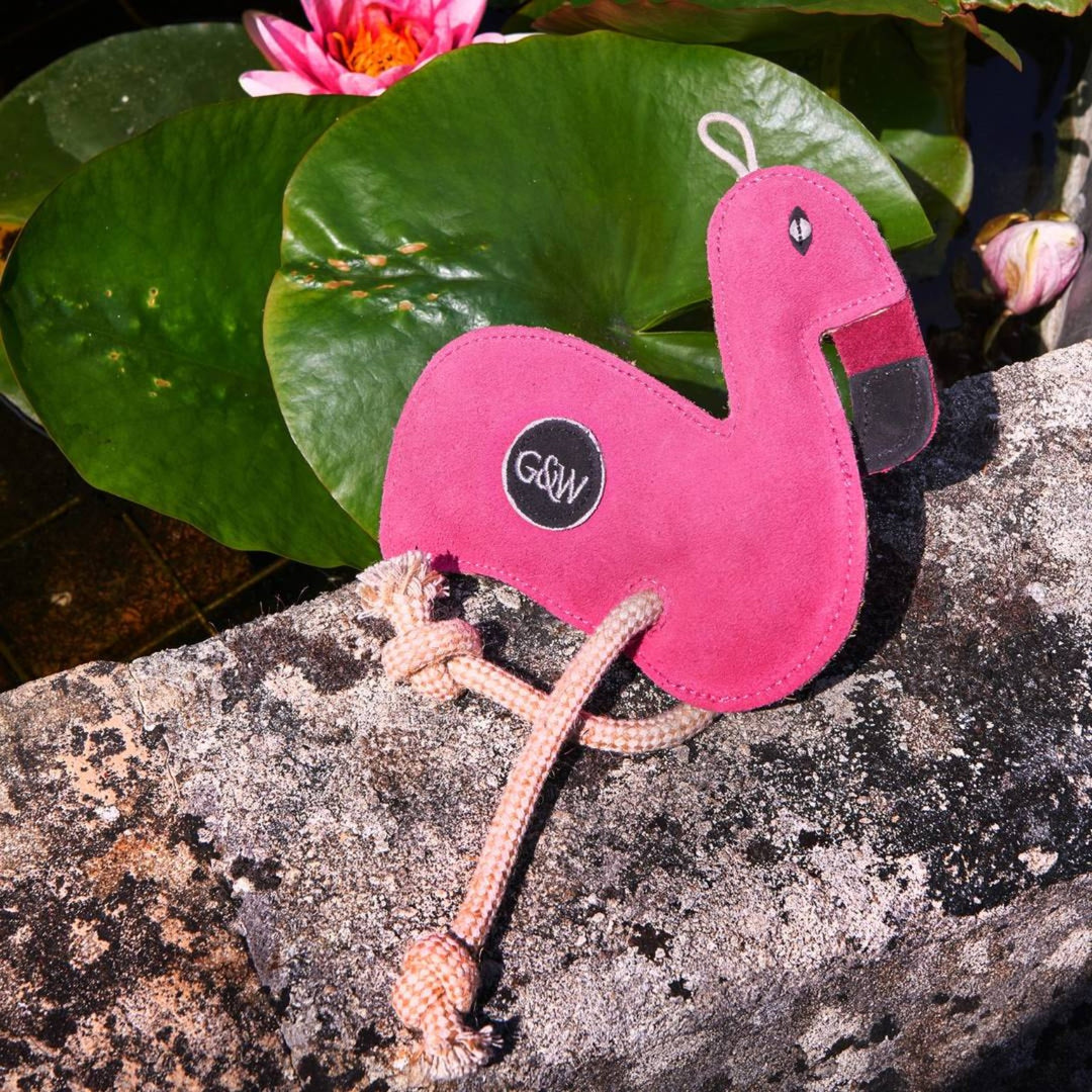 Eco friendly Floyd the Flamingo dog toy by Green and Wild’s suitable for small, medium and large sized dogs photographed outdoors supplied by Paw Branch