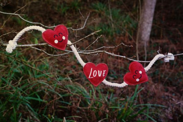 Eco friendly Heart Strings dog toy by Aurora Paws made with suede and jute rope photographed outdoors supplied by Paw Branch