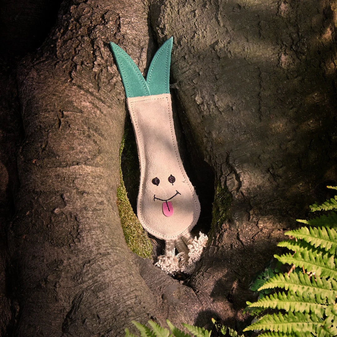 Eco friendly Lenny the Leek dog toy by Green and Wild’s suitable for extra small, small and medium sized dogs photographed outdoors supplied by Paw Branch