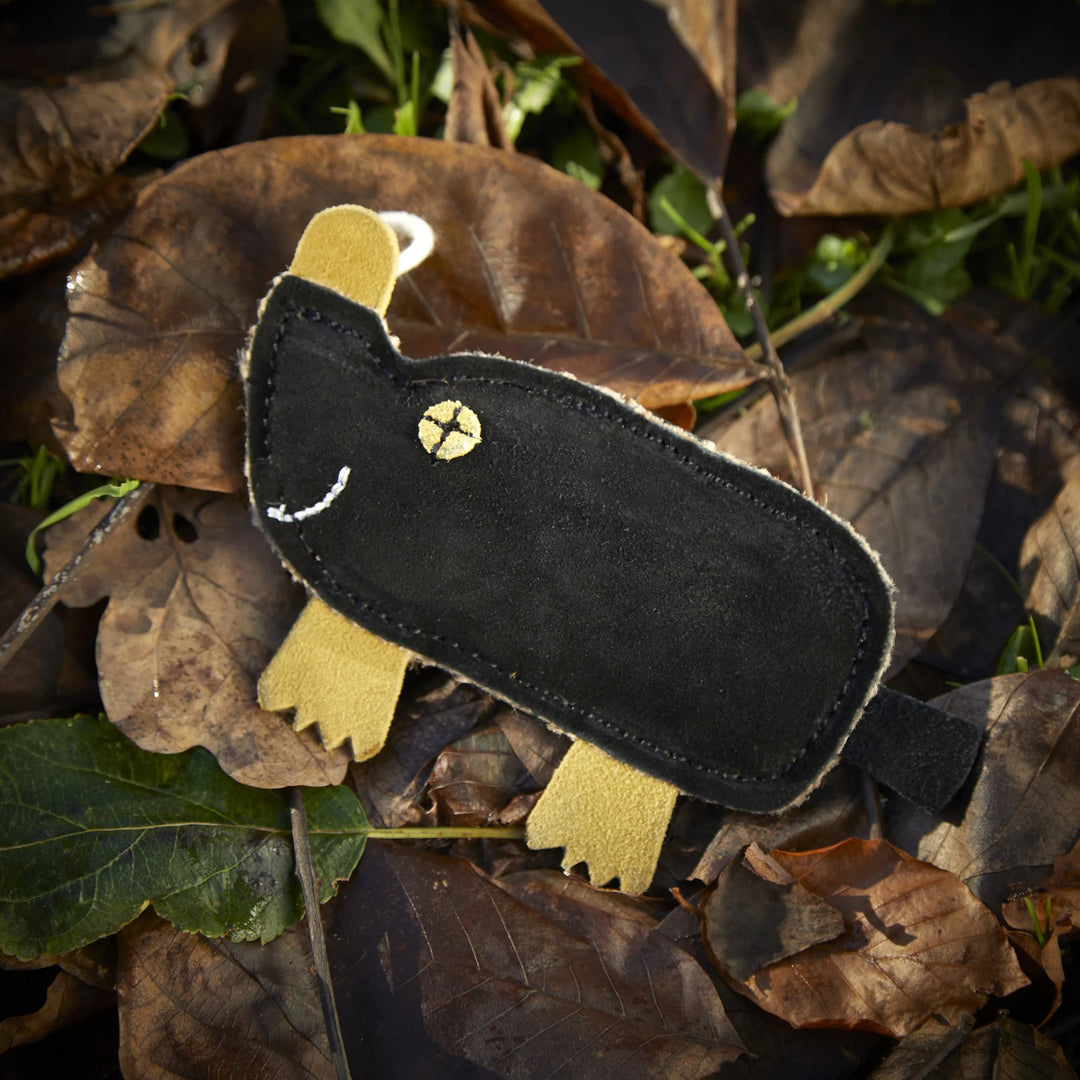 Eco friendly Maggie the Mole dog toy by Green and Wild’s suitable for extra small sized dogs photographed outdoors supplied by Paw Branch