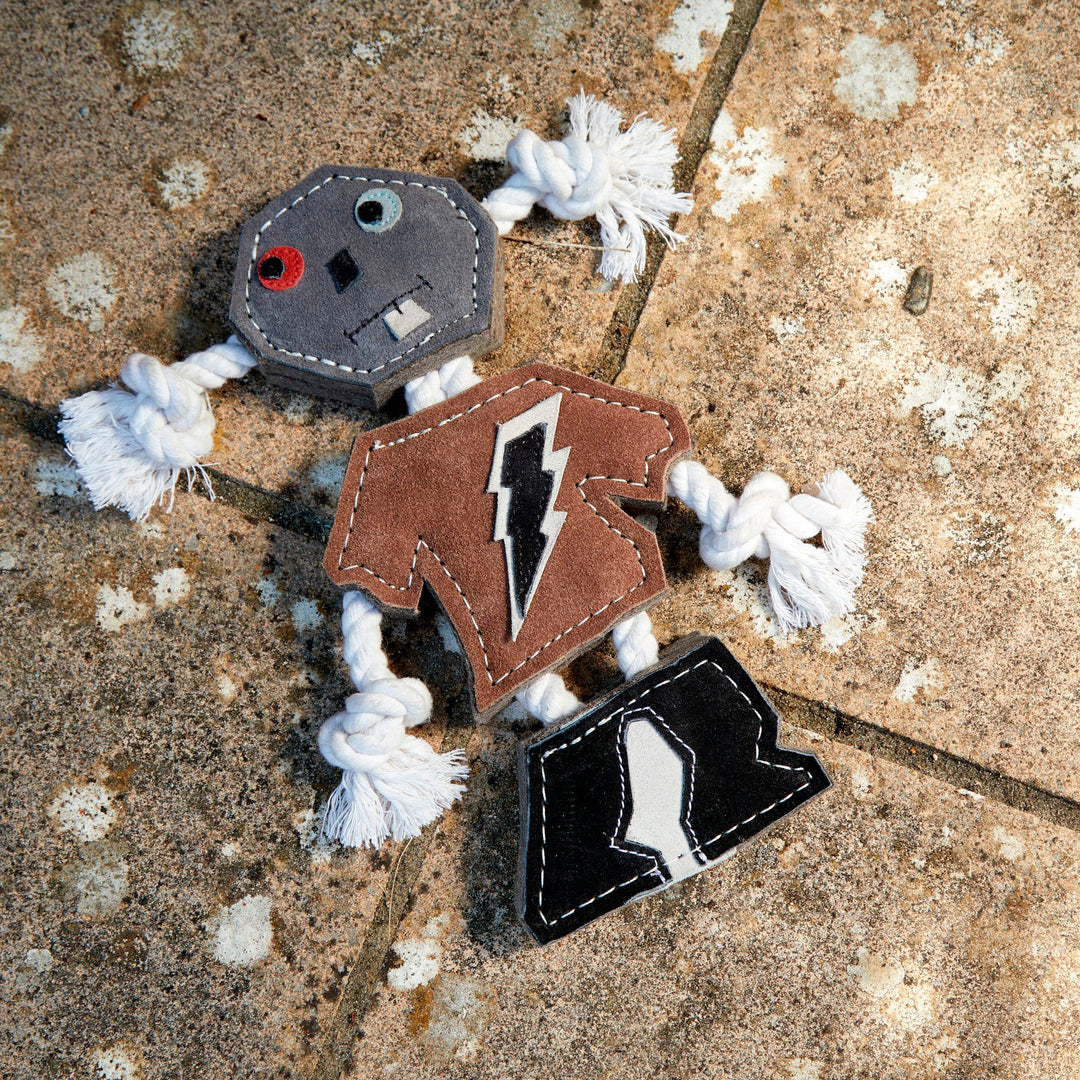 Eco friendly Rob the Robot dog toy by Green and Wild’s suitable for large sized and extra large sized dogs photographed outdoors supplied by Paw Branch