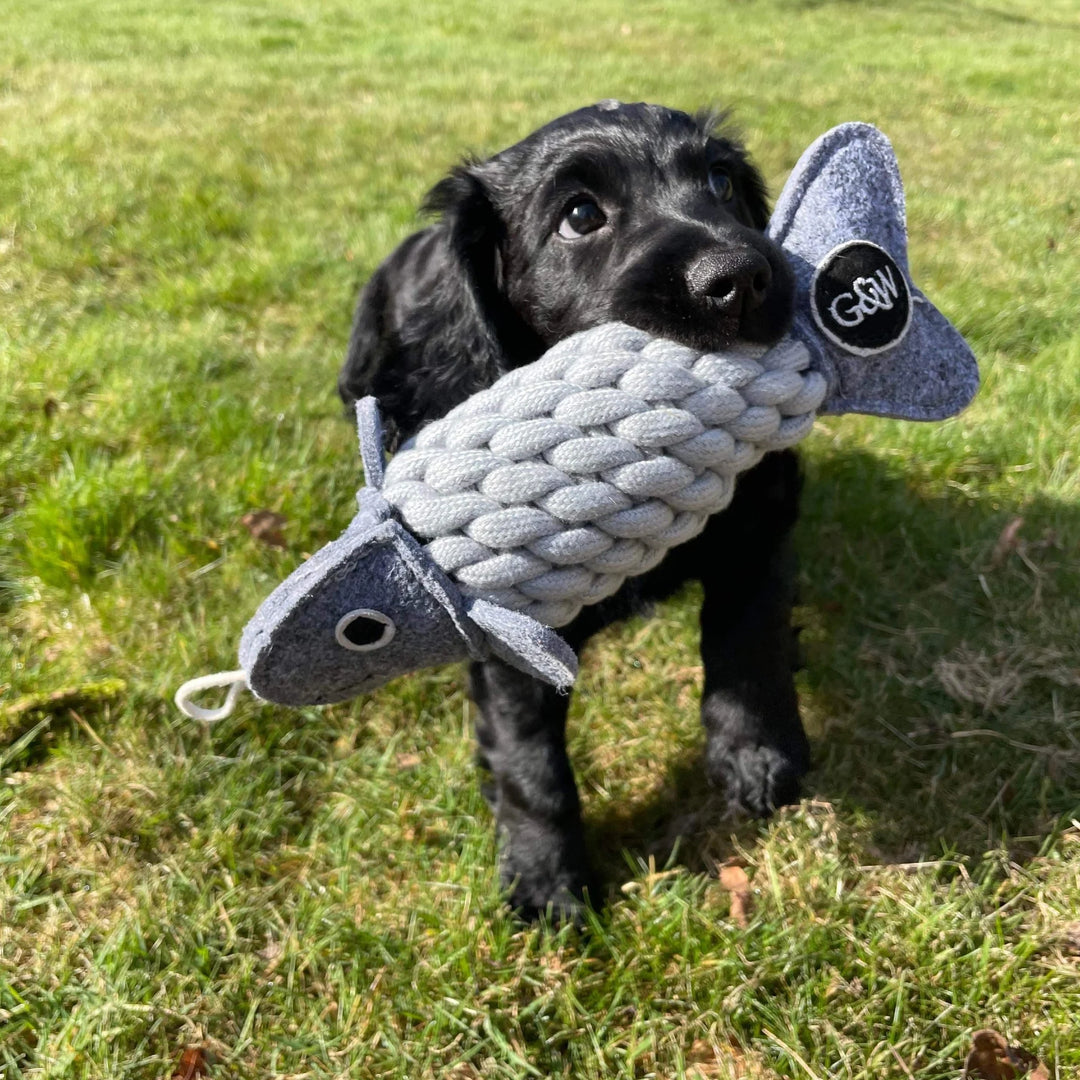 Eco friendly Roger the Ropefish dog toy by Green and Wild’s suitable formedium and large sized dogs photographed outdoors with a black Cocker Spaniel  puppy, supplied by Paw Branch