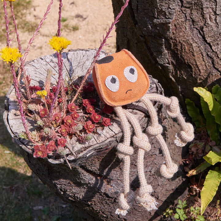 Eco friendly Sid the Squid dog toy by Green and Wild’s suitable for small and medium sized dogs photographed outdoors on tree trunk supplied by Paw Branch