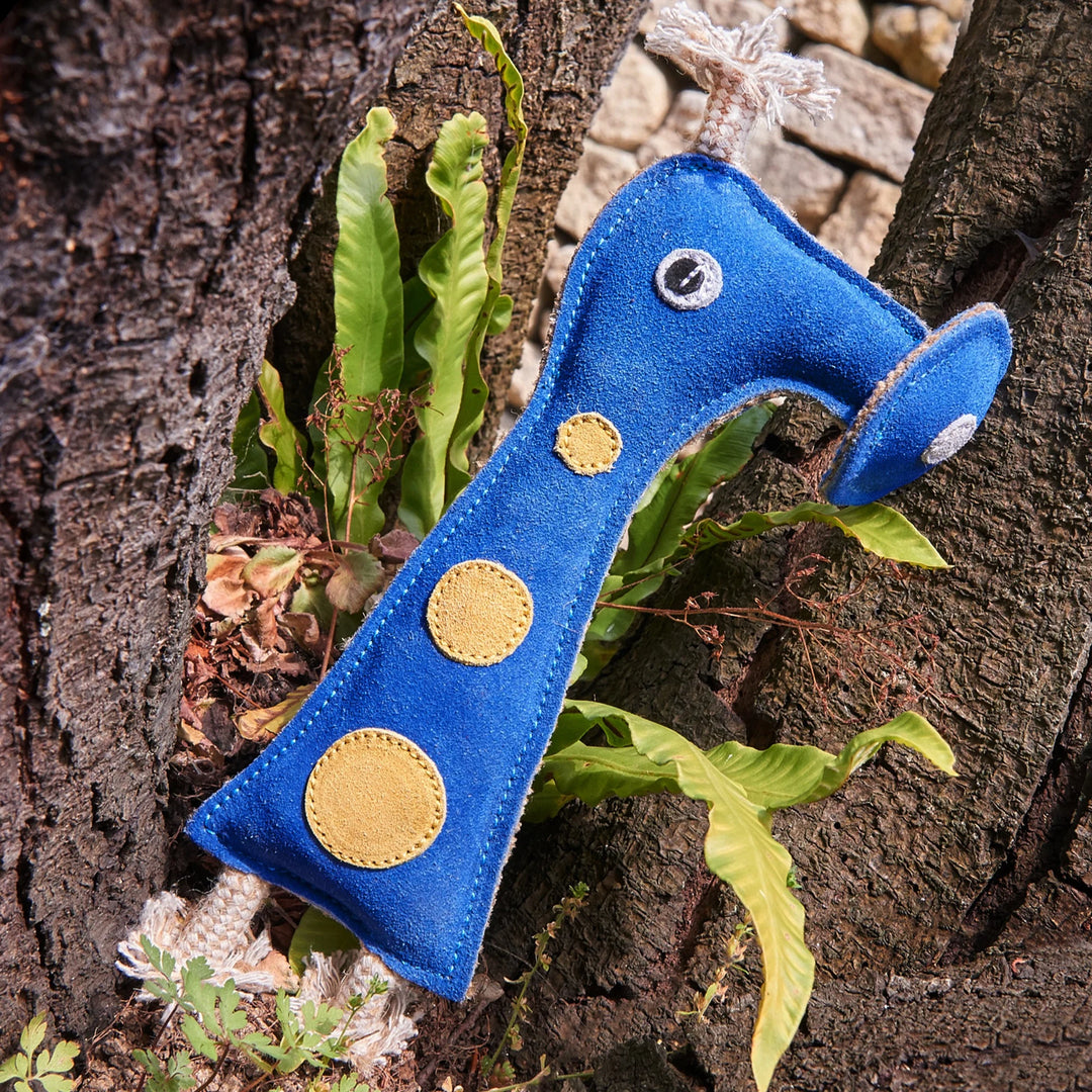 Eco friendly Smorg from Green Planet dog toy by Green and Wild’s suitable for small and medium sized dogs photographed outdoors in a tree trunk supplied by Paw Branch