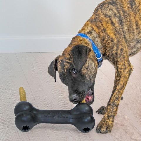 KONG Extreme Goodie Bone - Extra Large