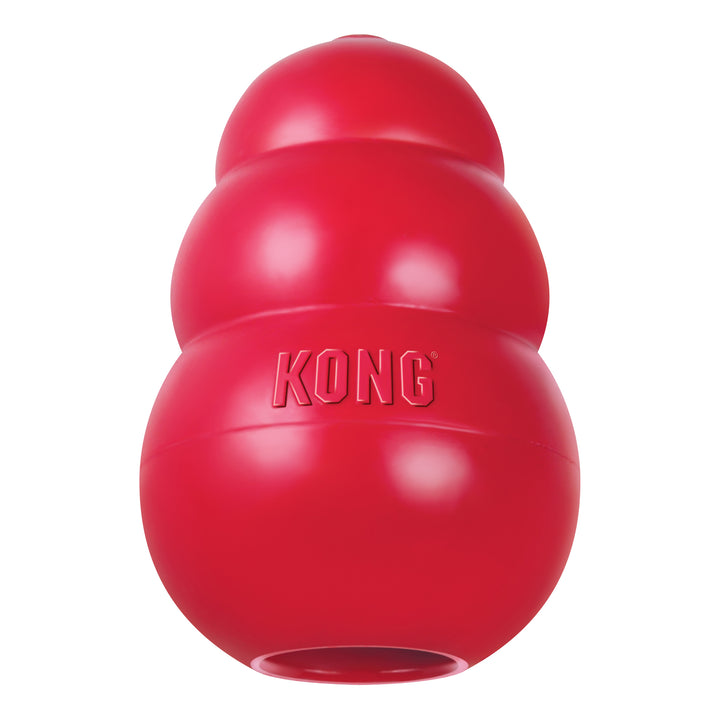 Red KONG dog toy on a white background