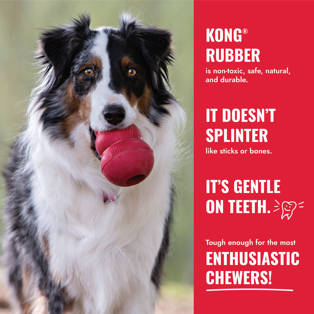 Dog chewing on a KONG Classic rubber toy with promotional text about its benefits.