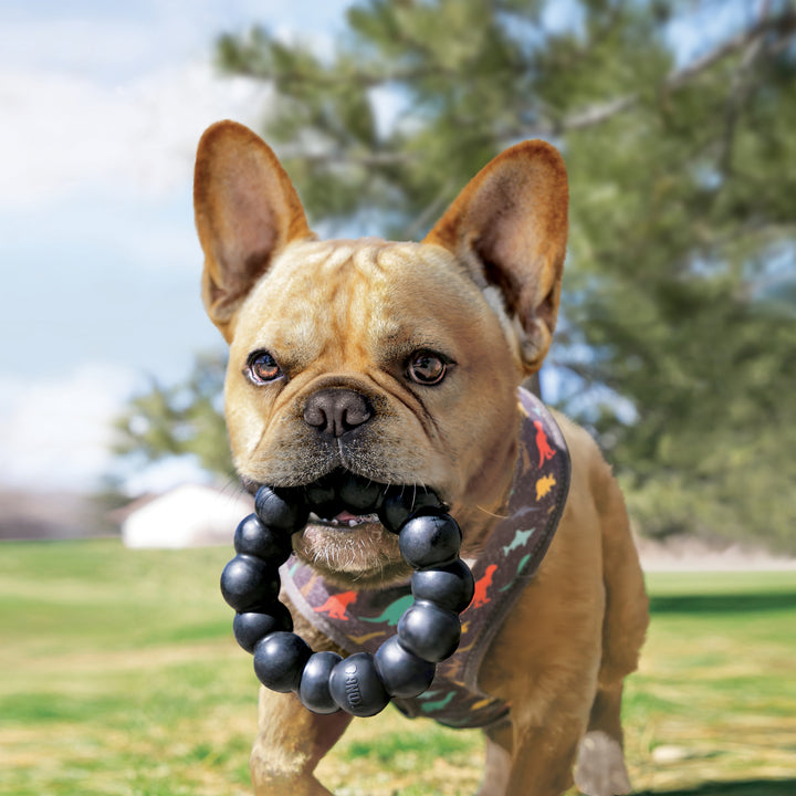 KONG Extreme Ring Extra Large