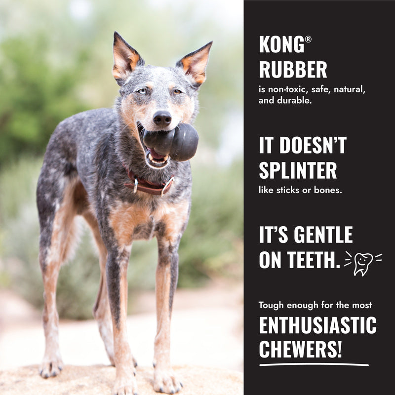 Dog chewing on a KONG Extreme rubber toy with promotional text about its benefits.