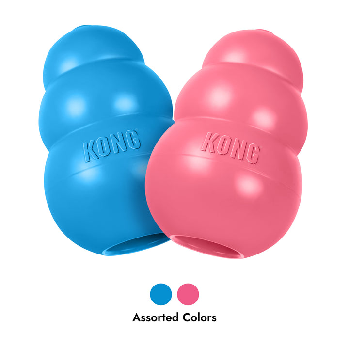 Blue and pink KONG dog toys on a white background