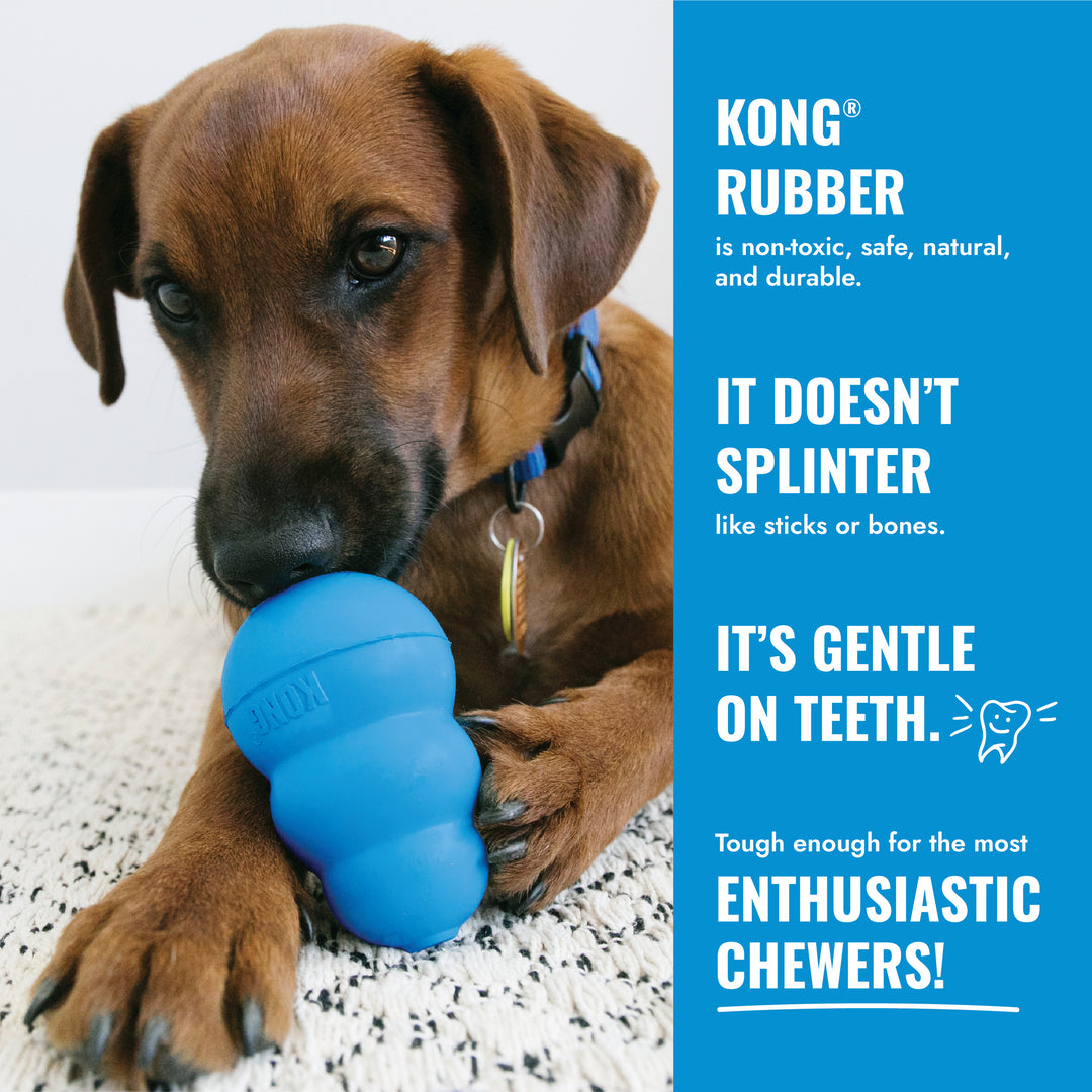 Dog chewing on a blue Puppy KONG rubber toy with promotional text about its benefits.