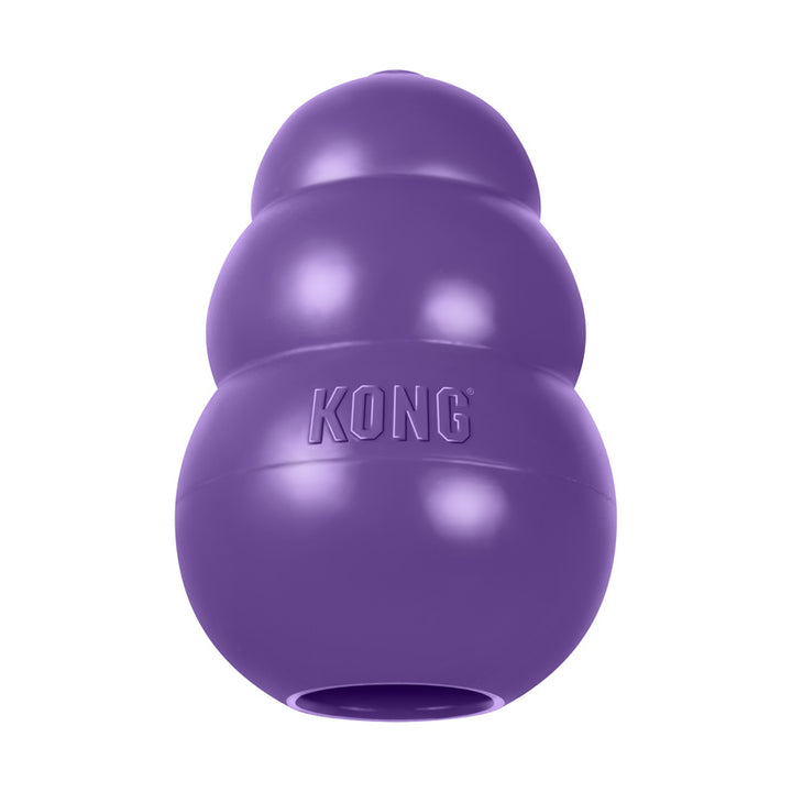Purple KONG dog toy on a white background