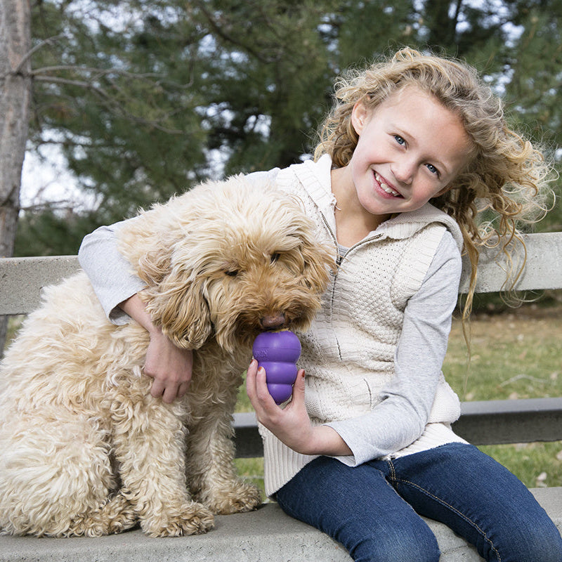Girl sitting on a wooden bench with a fluffy dog holding a purple KONG Senior toy, surrounded by trees and grass.