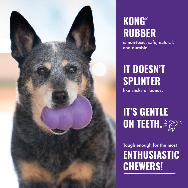 Dog chewing on a KONG Senior rubber toy with promotional text about its benefits.