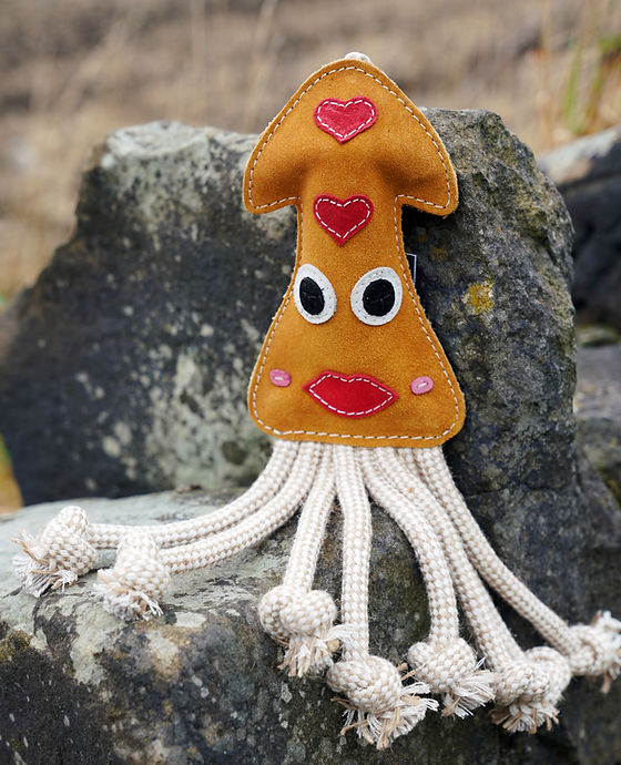 Close-up of the brown suede Karen the Squid toy with rope tentacles resting on mossy rocks, supplied by Paw Branch.