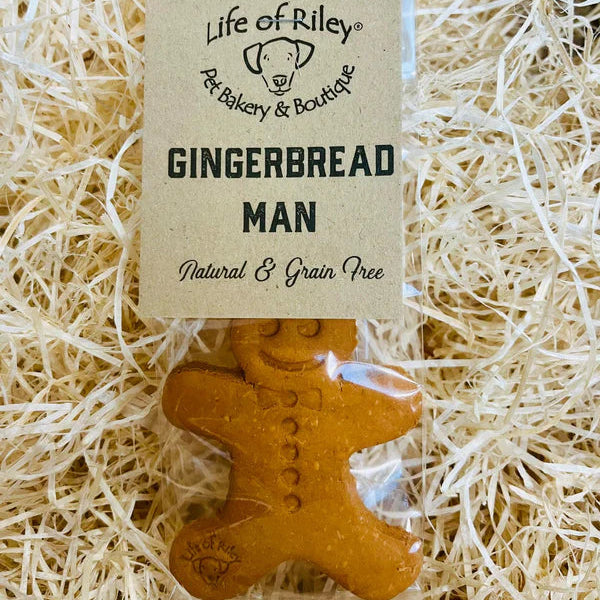 Large Gingerbread Man Dog Biscuit Treat Gift Bagged supplied by Paw Branch