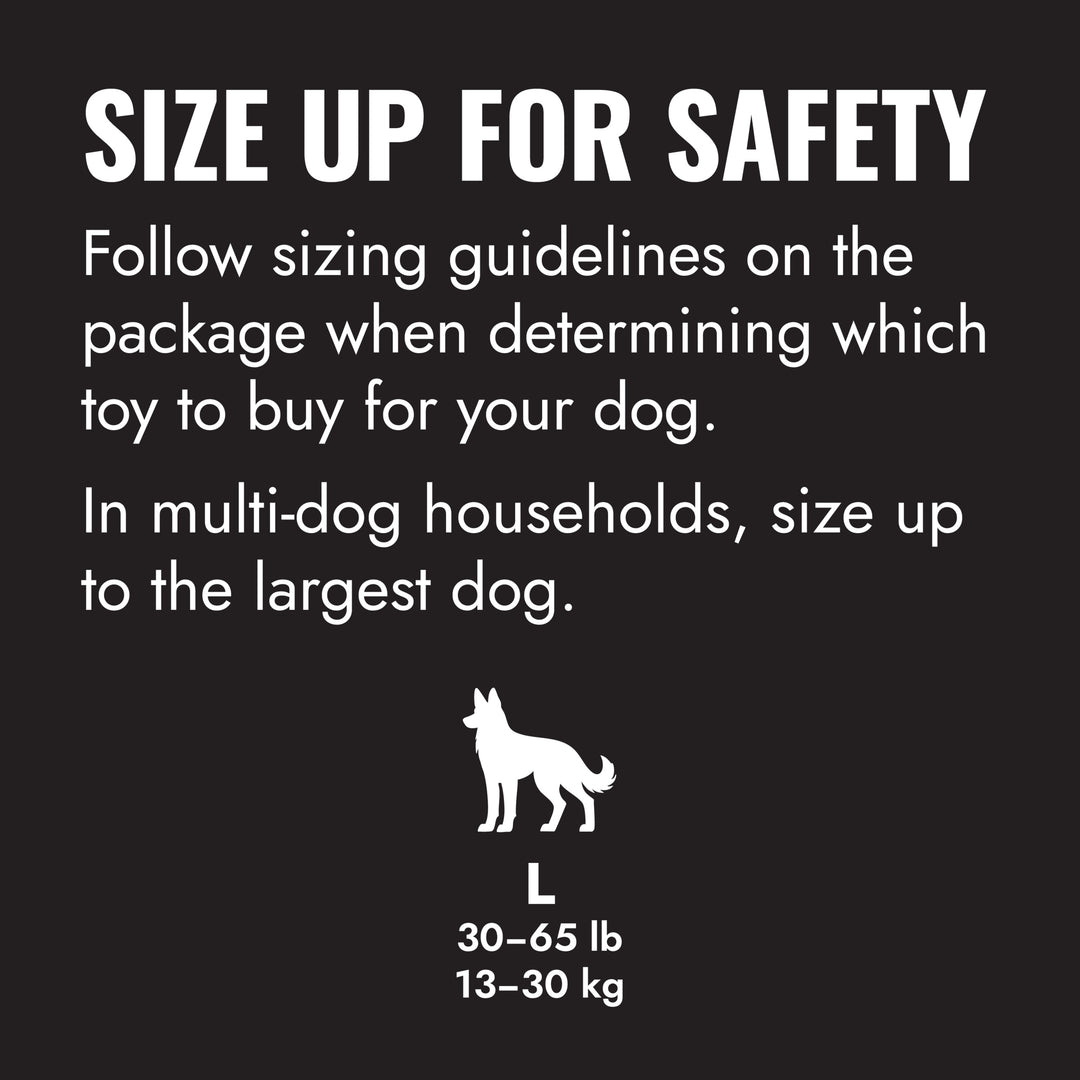 KONG Extreme Ball Medium/Large