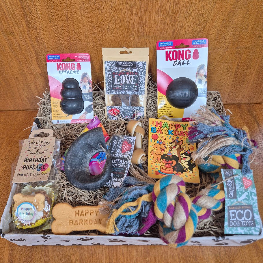 Power Chewer Dog Birthday Box – Medium Sized Dogs (10–20kg)