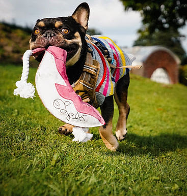 Black and tan French Bulldog running on grass while carrying the pink Minky the Whale dog toy by Aurora Paws, supplied by Paw Branch.