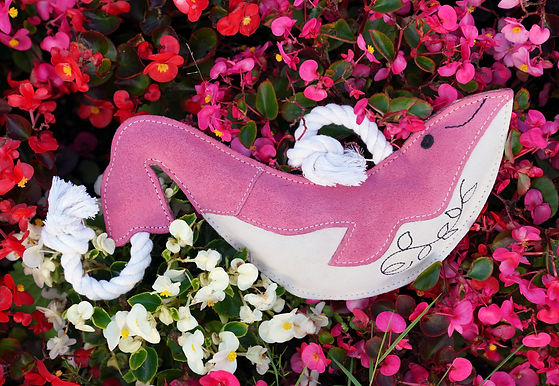 Pink Minky the Whale toy by Aurora Paws resting amongst bright red and white flowers and foliage, supplied by Paw Branch.