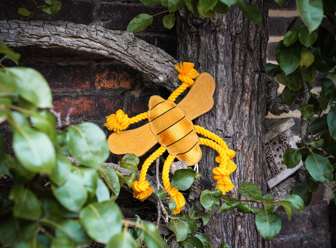 The yellow Queen Bee toy with rope legs by Aurora Paws hanging from a bare, twisted tree branch against a soft green background, supplied by Paw Branch.