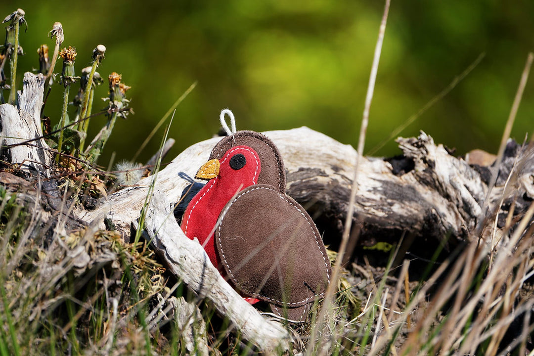 The Rodney the Robin dog toy nestled among dry grass and driftwood with a blurred green background, supplied by Paw Branch.