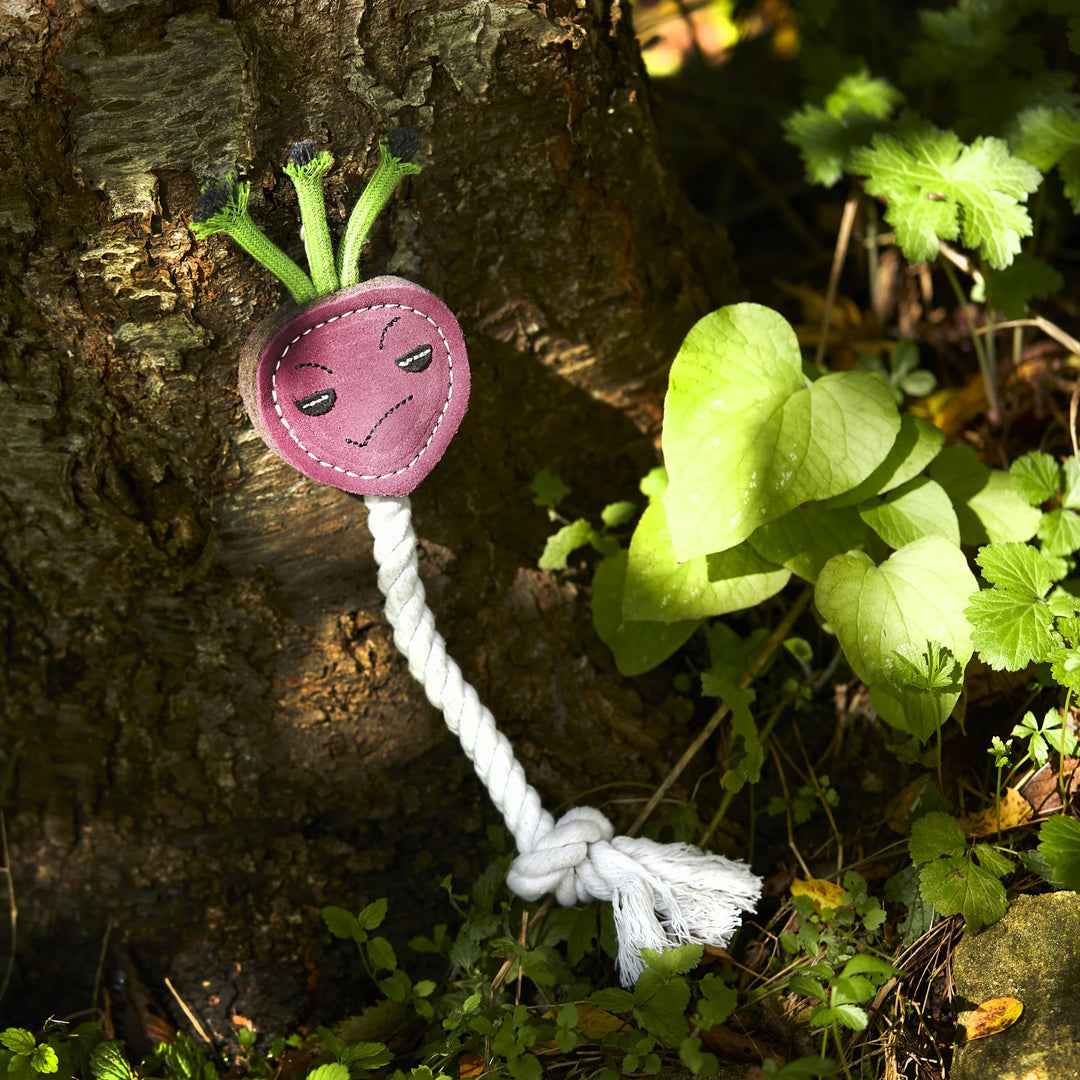 Alt Description 1: Ruby the Radish eco dog toy by Green and Wild’s designed for extra small and small dogs photographed outdoors against tree supplied by Paw Branch