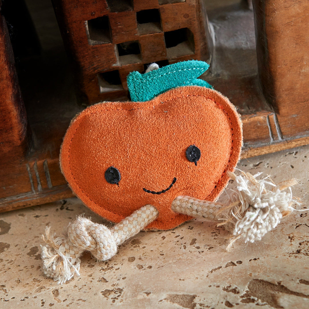Eco-friendly dog toy shaped like a satsuma, made from jute and suede with rope arms. Designed for extra small dogs who enjoy chewing, tugging and carrying.
