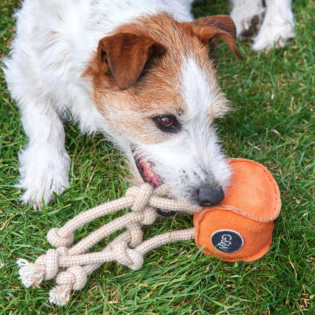 Sid the Squid eco dog toy by Green and Wild’s for small and medium sized dogs shown outdoors with a terrier supplied by Paw Branch