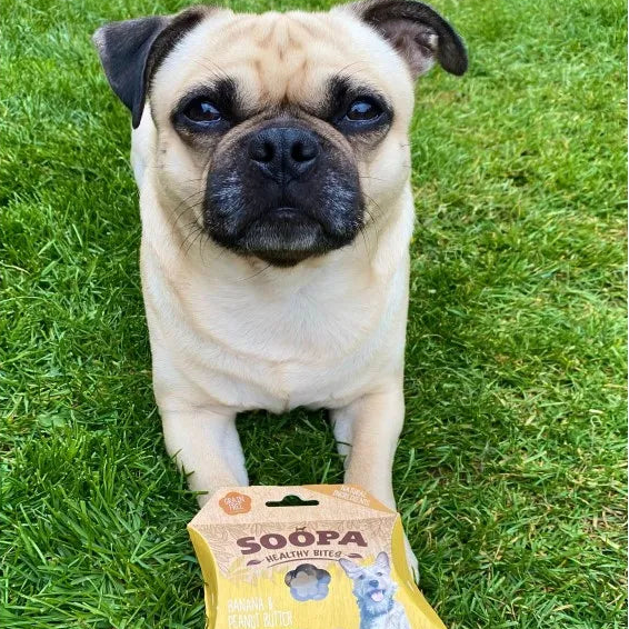 Pug dog standing on grass with a package of Soopa Healthy Bites in front