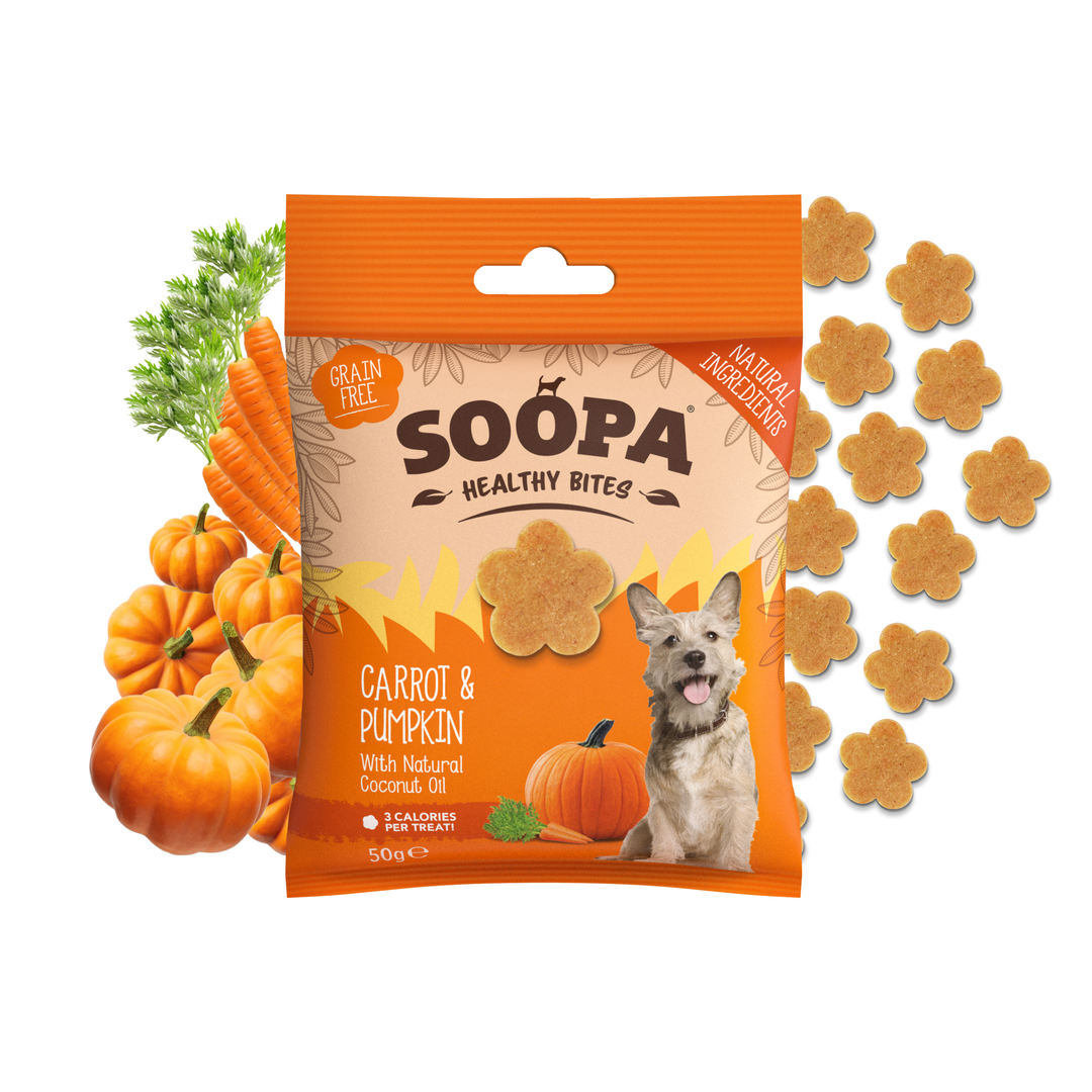 Package of SOOPA Healthy Bites Carrot & Pumpkin dog treats with pumpkins and a dog on a white background
