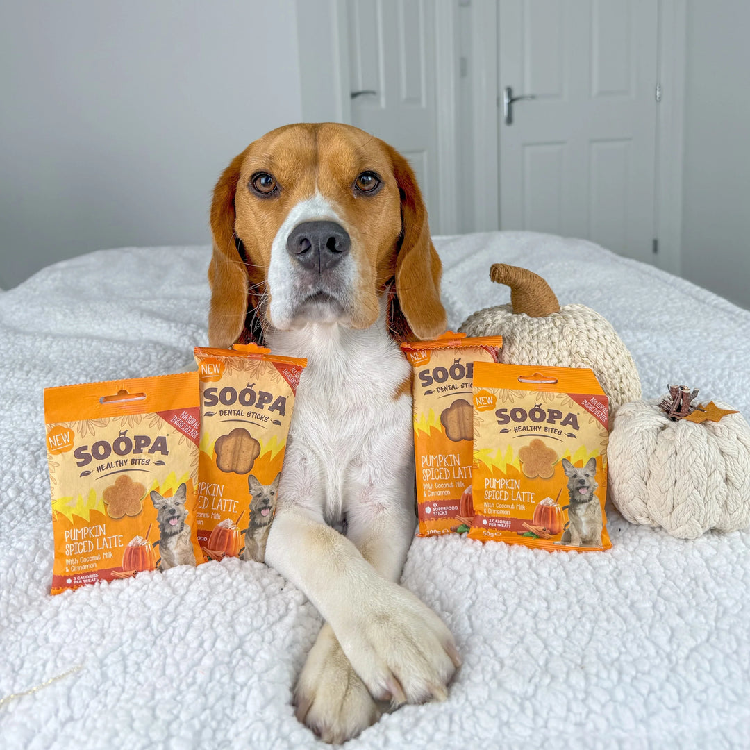 Soopa Pumpkin Spiced Latte Bites 50g