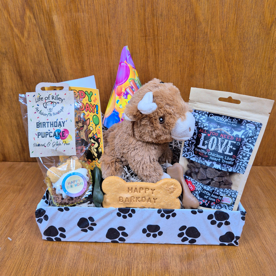 The Paw Branch Club Tail Waggin’ Birthday Box for extra small dogs with eco toys and snacks.