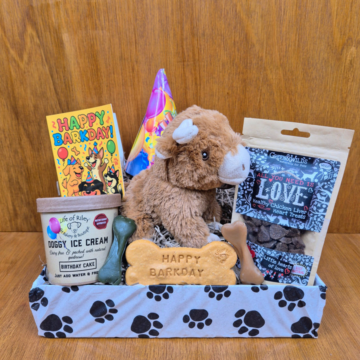 Sustainable birthday box for extra small dogs from The Paw Branch Club containing a mix of eco toys and healthy treats.