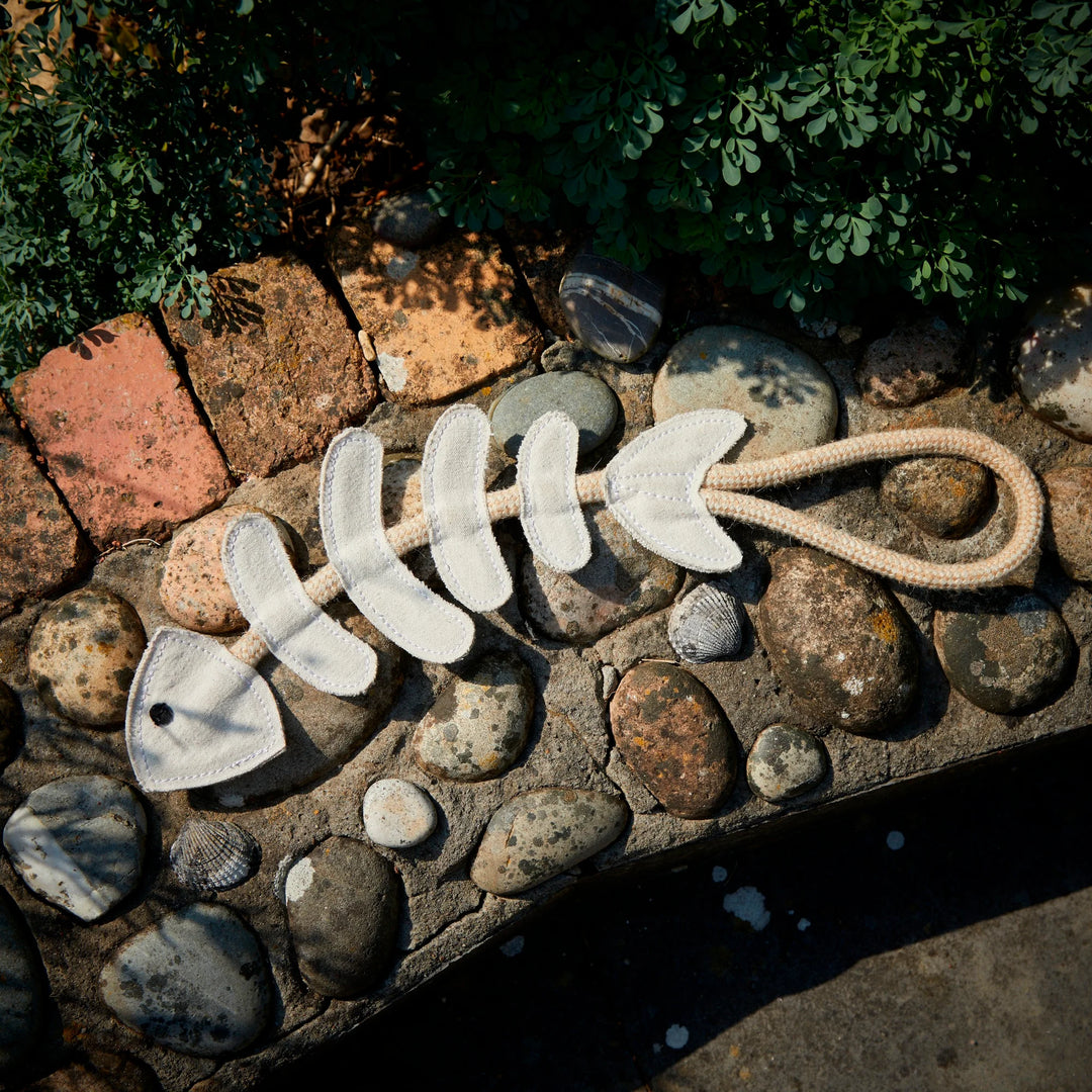 Thin Lizzie the Bonefish eco dog toy by Green and Wild’s designed for extra small and small dogs supplied by Paw Branch