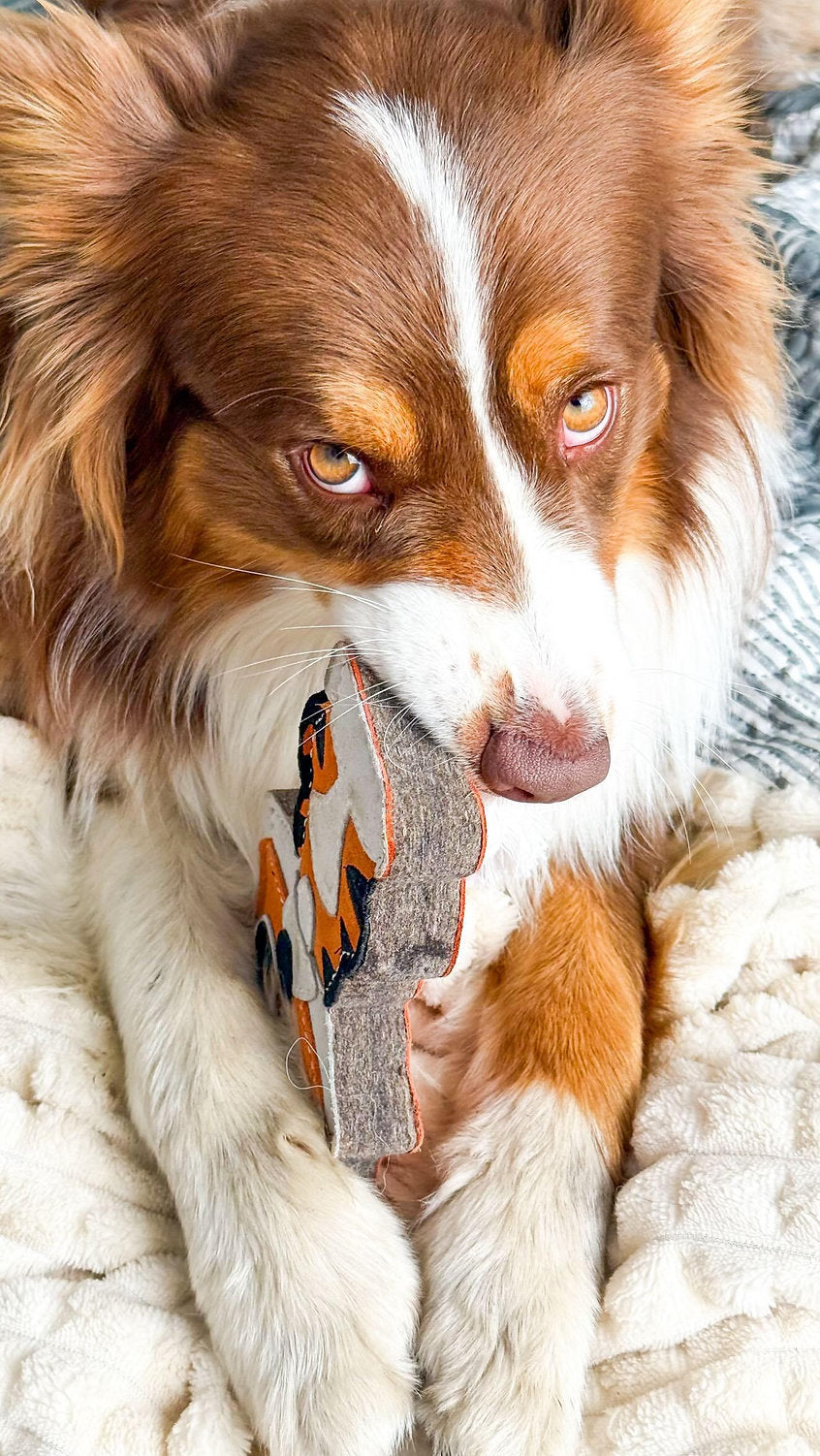 Tina the Tiger dog toy with a tough suede exterior and dense cotton core, designed for medium and large dogs who enjoy tug play supplied by Paw Branch