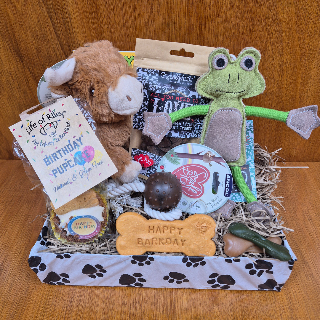 The Paw Branch Club Top Dog Birthday Box offers curated toys and healthy treats for extra small dogs.