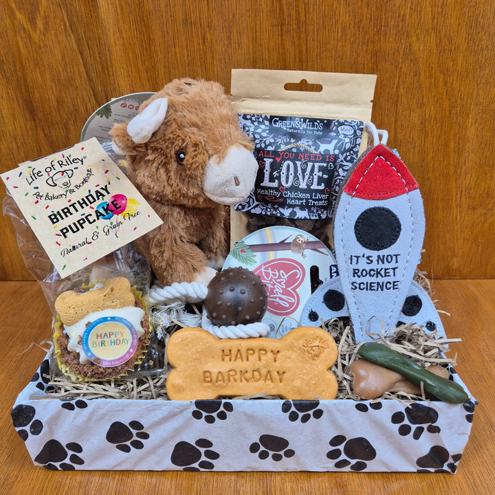 Eco-friendly toys and wholesome treats make the Top Dog Birthday Box a joyful gift for extra small dogs.