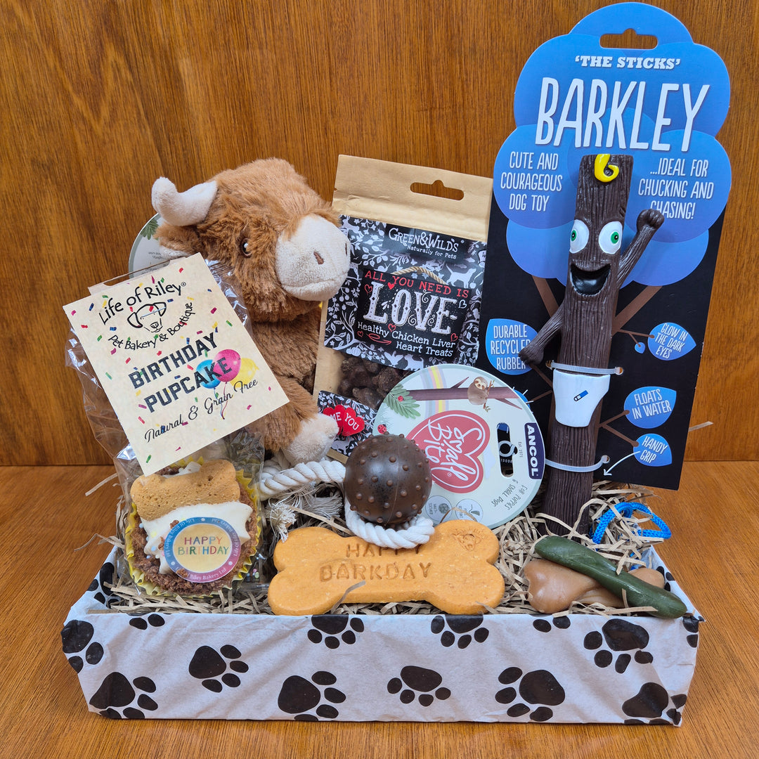 Celebrate small companions with the Top Dog Birthday Box, filled with eco toys and tasty treats.