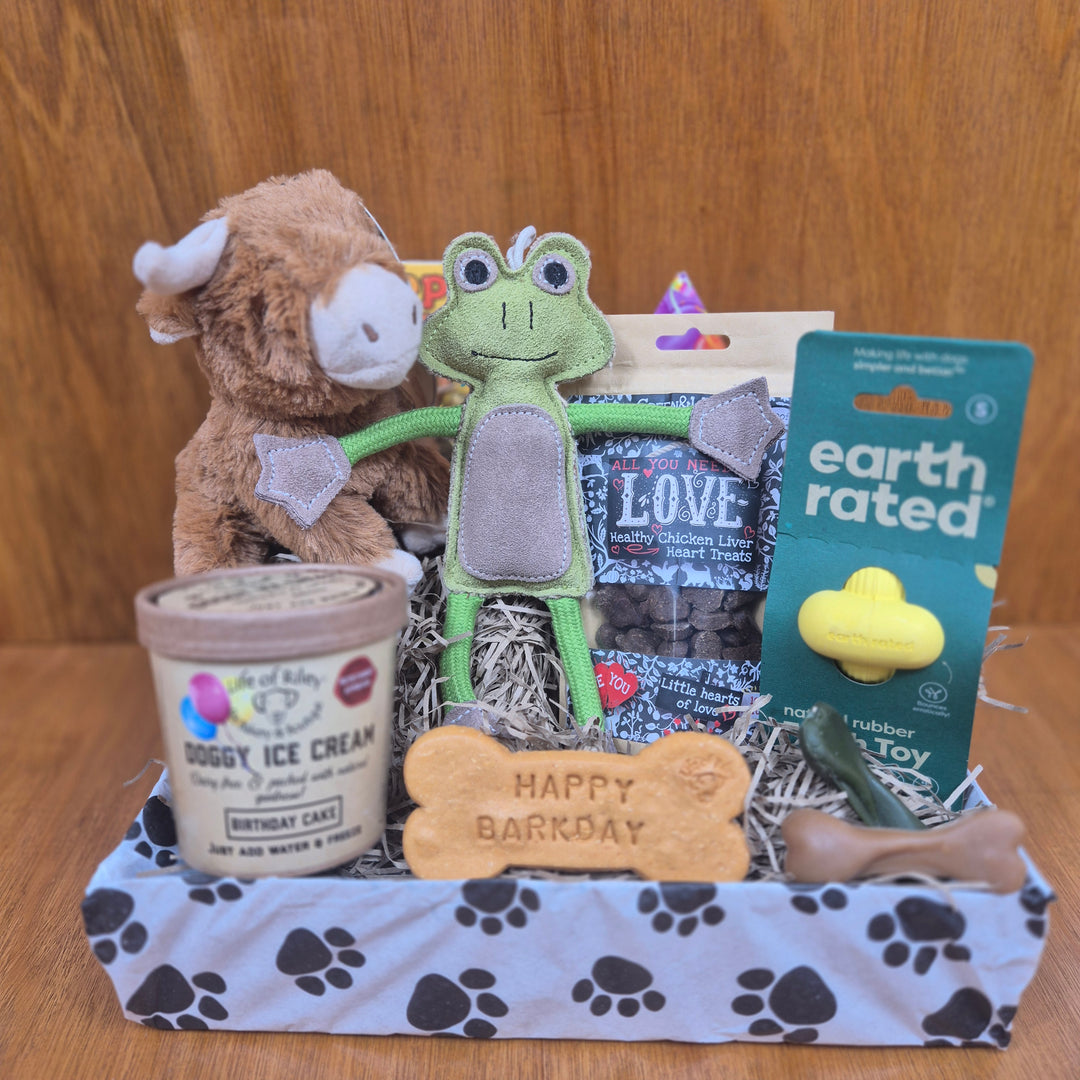 Curated fun for tiny dogs in the Top Dog Birthday Box, packed with natural treats and eco-friendly toys.